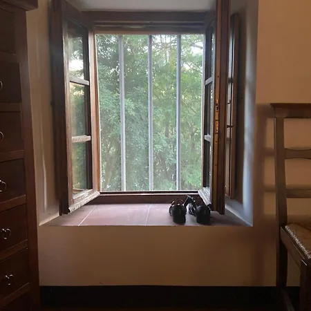 Arezzo Cozy House Subbiano